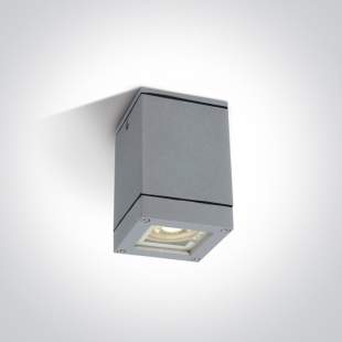 Interiérové svietidlo ONE LIGHT ext. stropné svietidlo  67130D/G