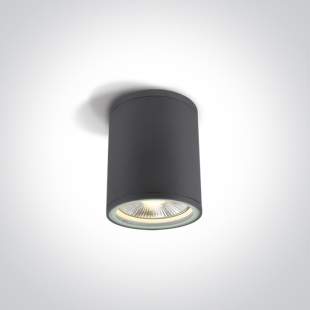 Interiérové svietidlo ONE LIGHT ext. stropné svietidlo  67132C/AN