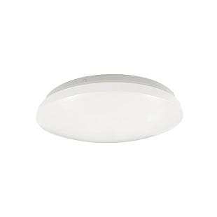 Interiérové svietidlo NEDES stropné LED svietidlo 12W