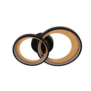 Interiérové svietidlo LED stropné svietidlo s diaľkovým ovládačom 35W TA1339/B