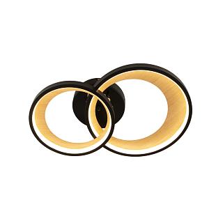 Interiérové svietidlo LED stropné svietidlo s diaľkovým ovládačom 35W TA1339/B