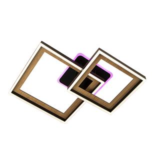 Interiérové svietidlo LED stropné svietidlo s diaľkovým ovládačom 75W TA1340/B