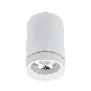 Interiérové svietidlo AZZARDO Bill 10W white 